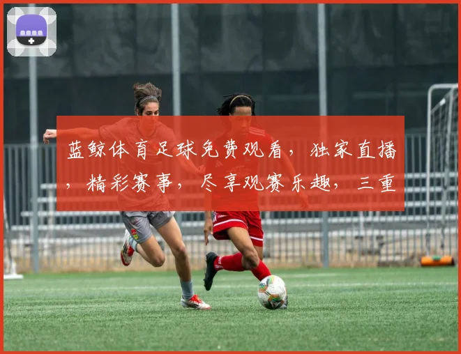 蓝鲸体育足球免费观看,独家直播,精彩赛事,尽享观赛乐趣,三重福利,不容错过,快来加入